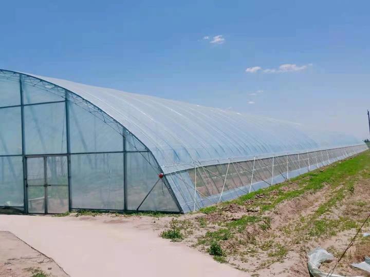 山东寿光蔬菜大棚一个大棚一年能收入多少