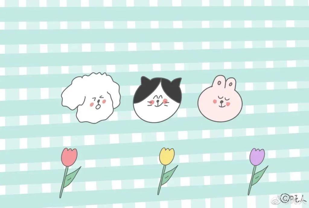 有哪些适合 ipad 使用的优质主屏幕(非锁屏)壁纸?