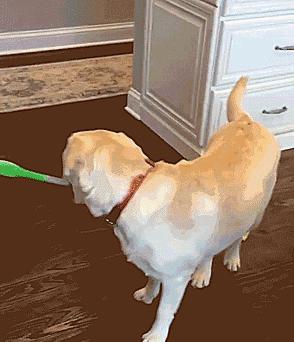 一,吸尘器,扫地机器人有哪些不便?