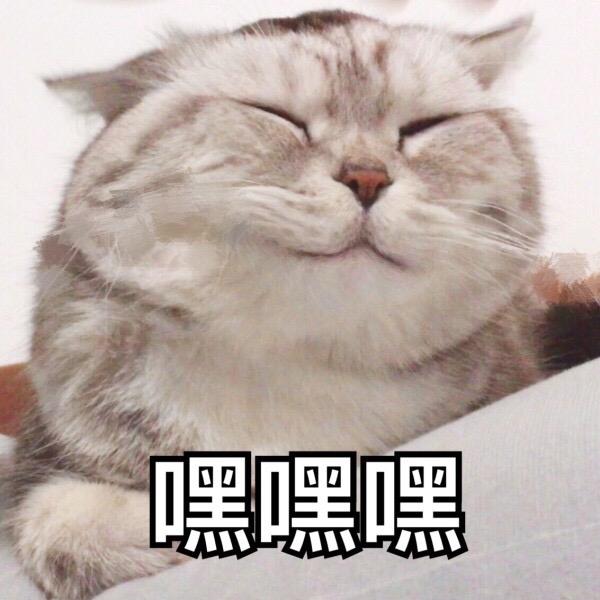 那些早上起来做饭、跑步、冲澡后去上班的人都