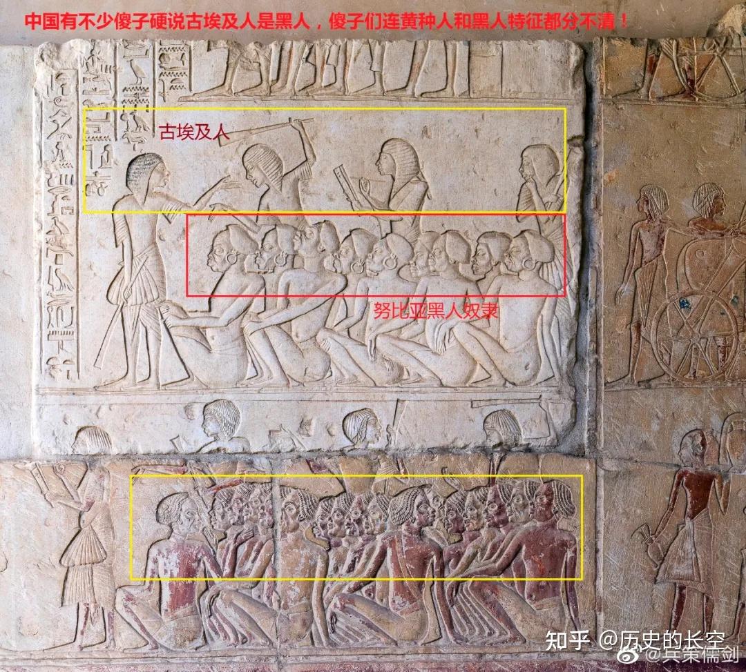 基因研究表明古埃及人几乎没有黑人成分 - 知乎