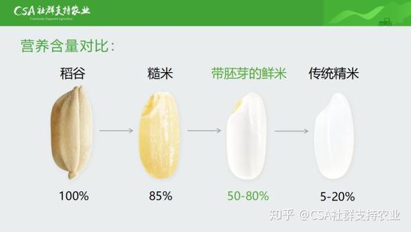 现在市场上最火的 胚芽米 是什么东西 一张图就帮你读懂 知乎 现在市场上最火的 胚芽米 是什么东西 一张图就帮你读懂 知乎