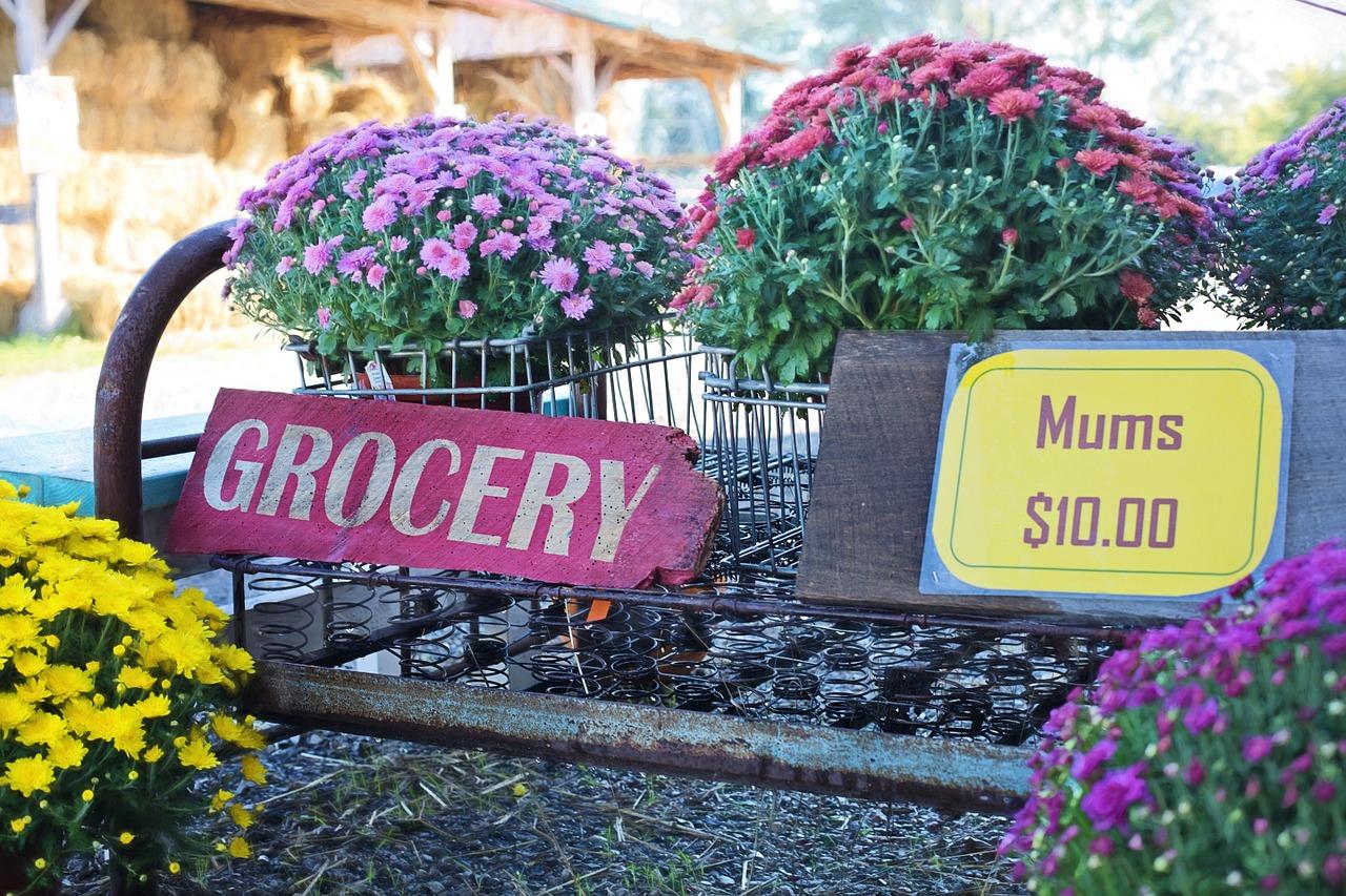 秋天的亲子时光