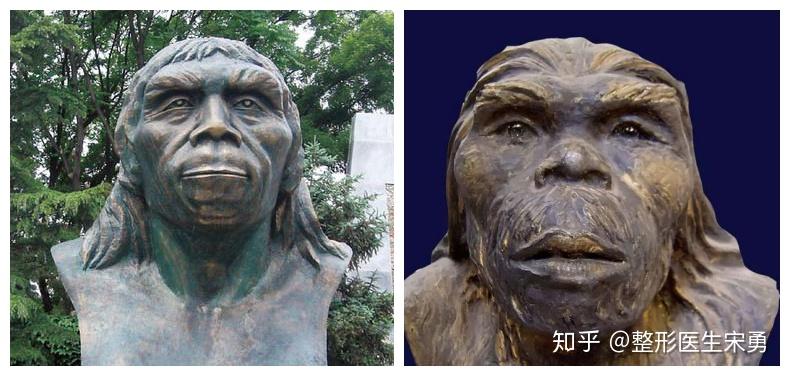 为什么有的长相视觉上我们会觉得土气