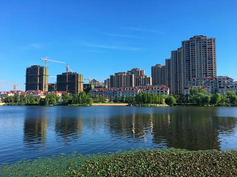 2018年夏天,手机拍摄于江苏泰兴香榭湖畔,直出无裁剪,修图.