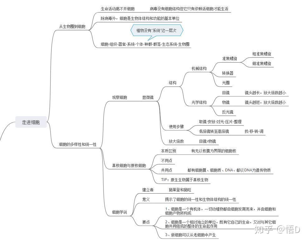 生物高中必修一第一单元知识点总结思维导图怎么做? 