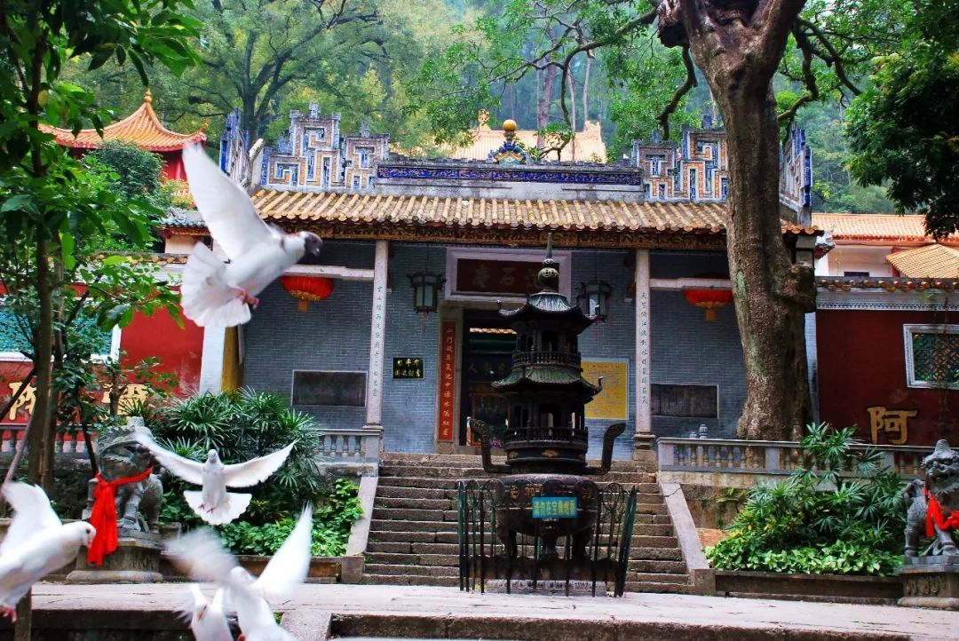 广西桂平市旅游景点图片