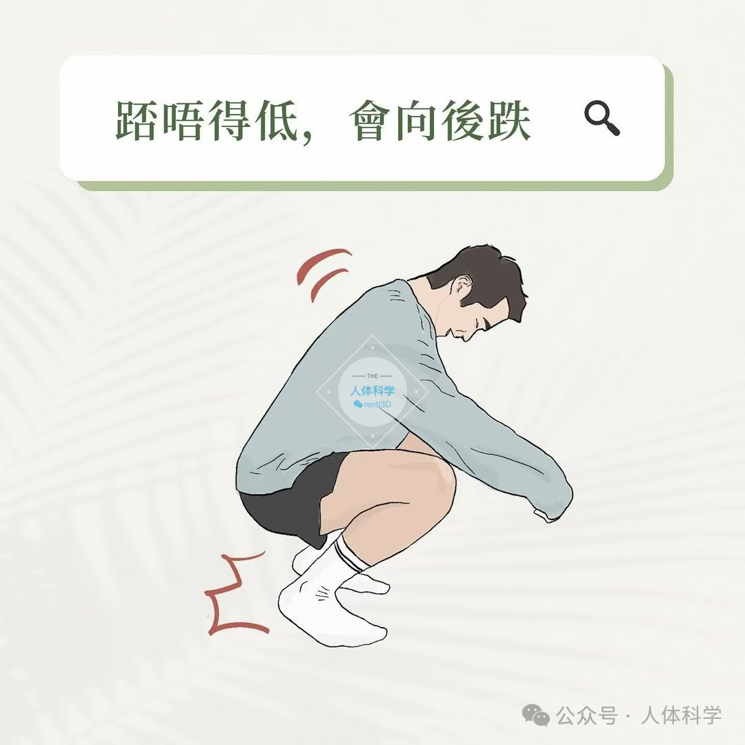 【足背屈受限】你身边有蹲不下去的人吗? - 知乎