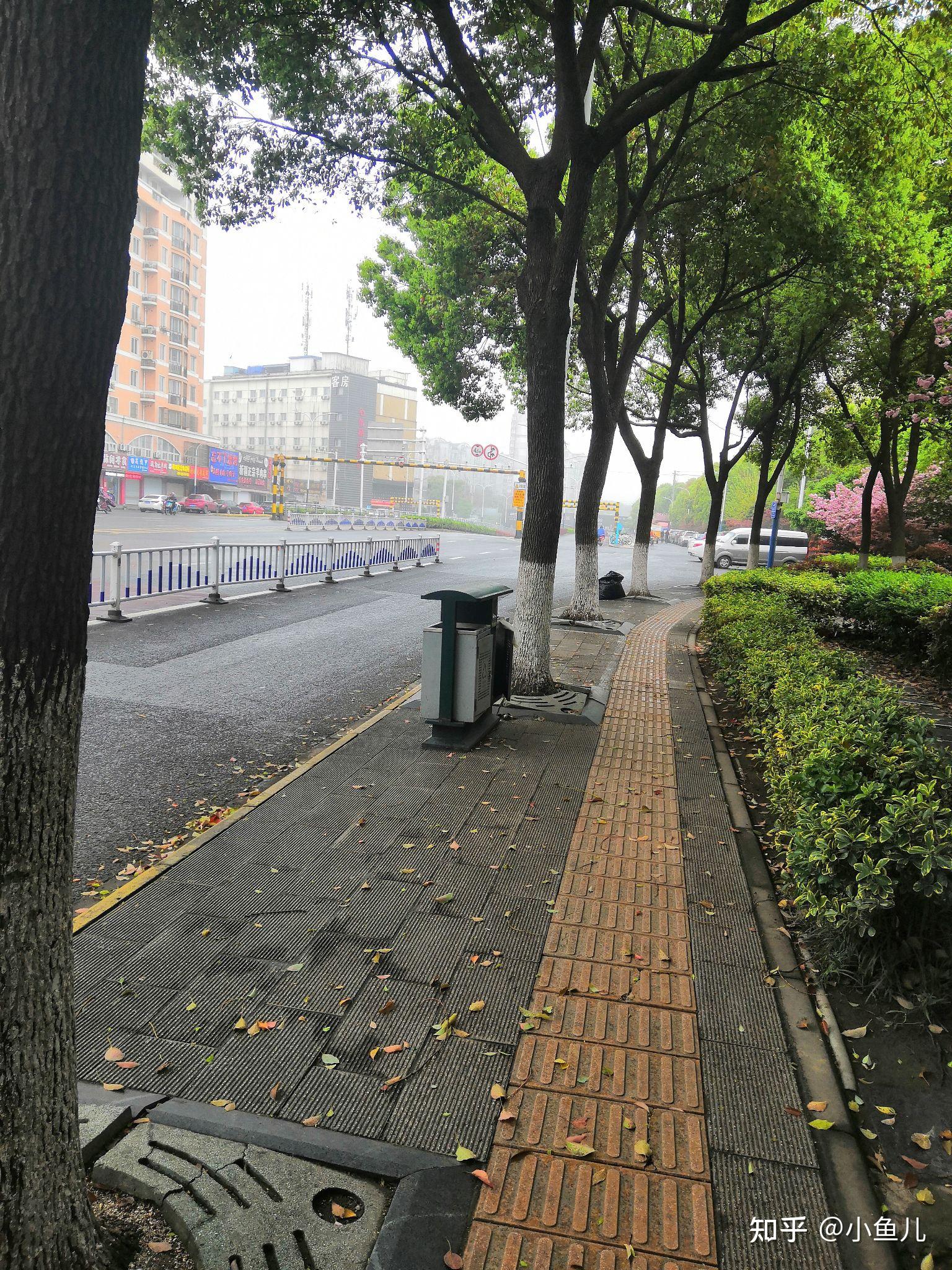 小雨蒙蒙 - 知乎