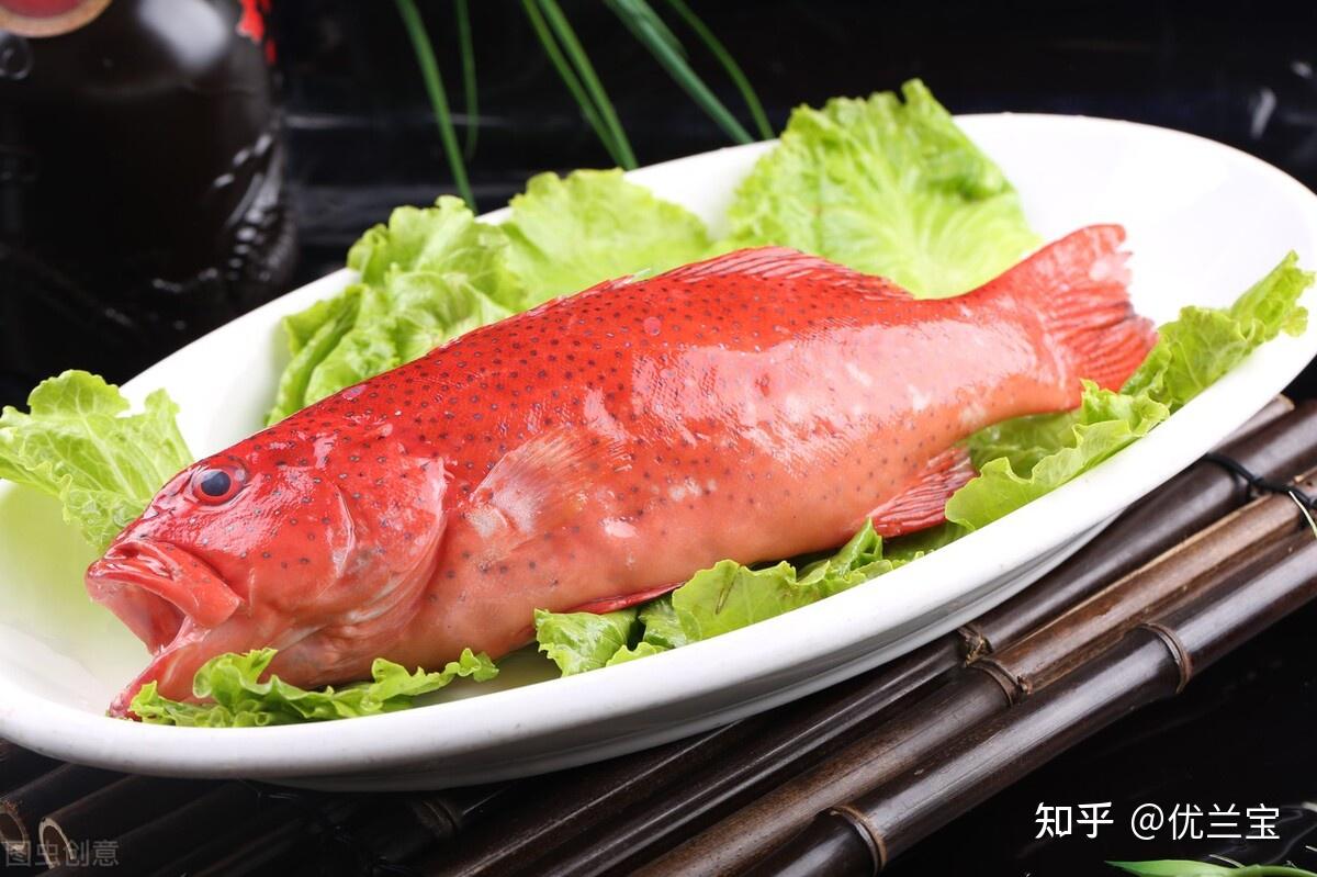 解决秋季东星斑肠炎上料慢的四大措施缺一不可