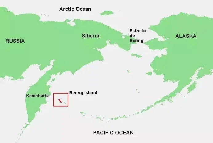 这个小岛已接近北极圈,又时值严冬,气候极其恶劣.