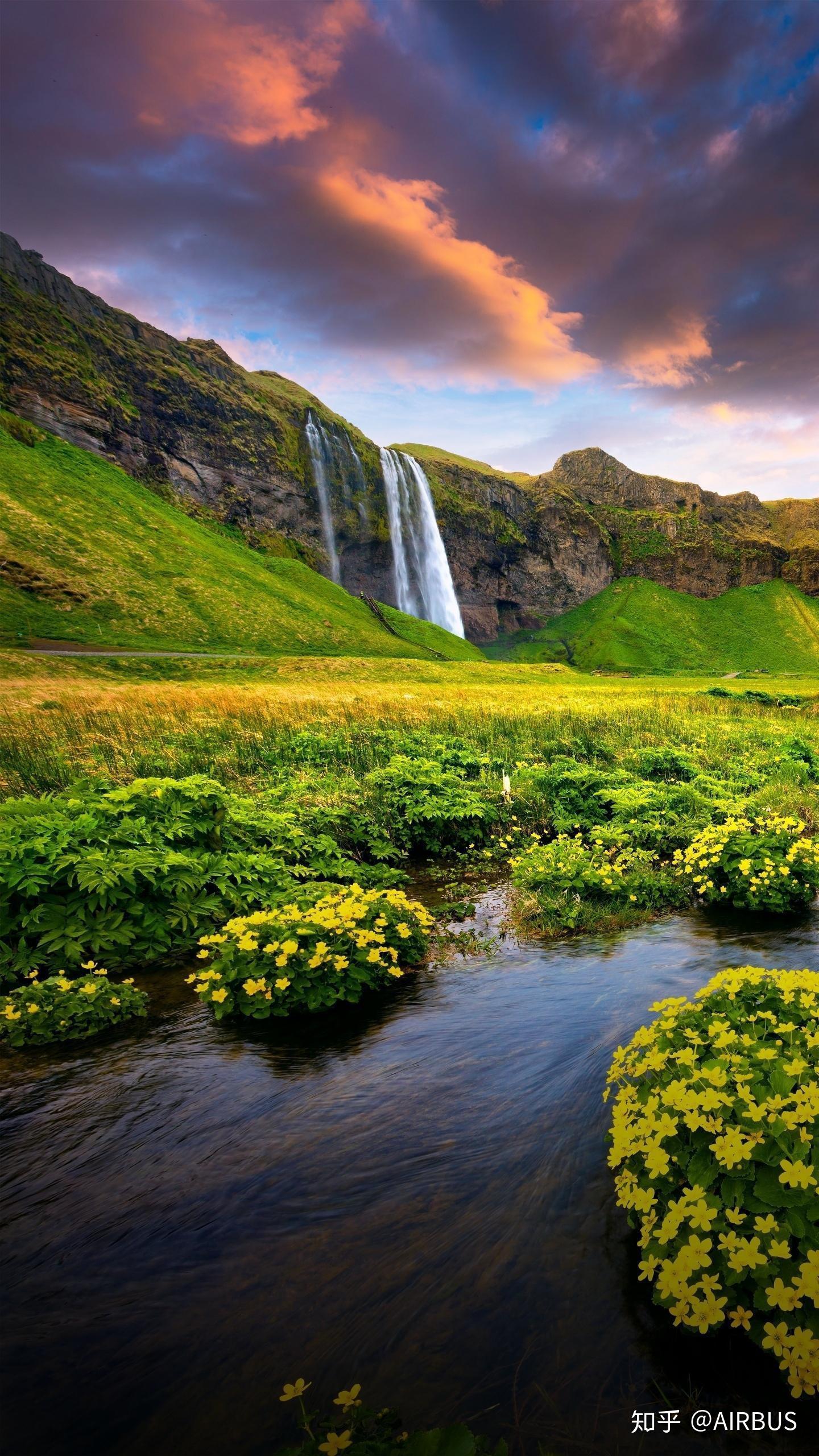 自然与生命是密不可分的共同体