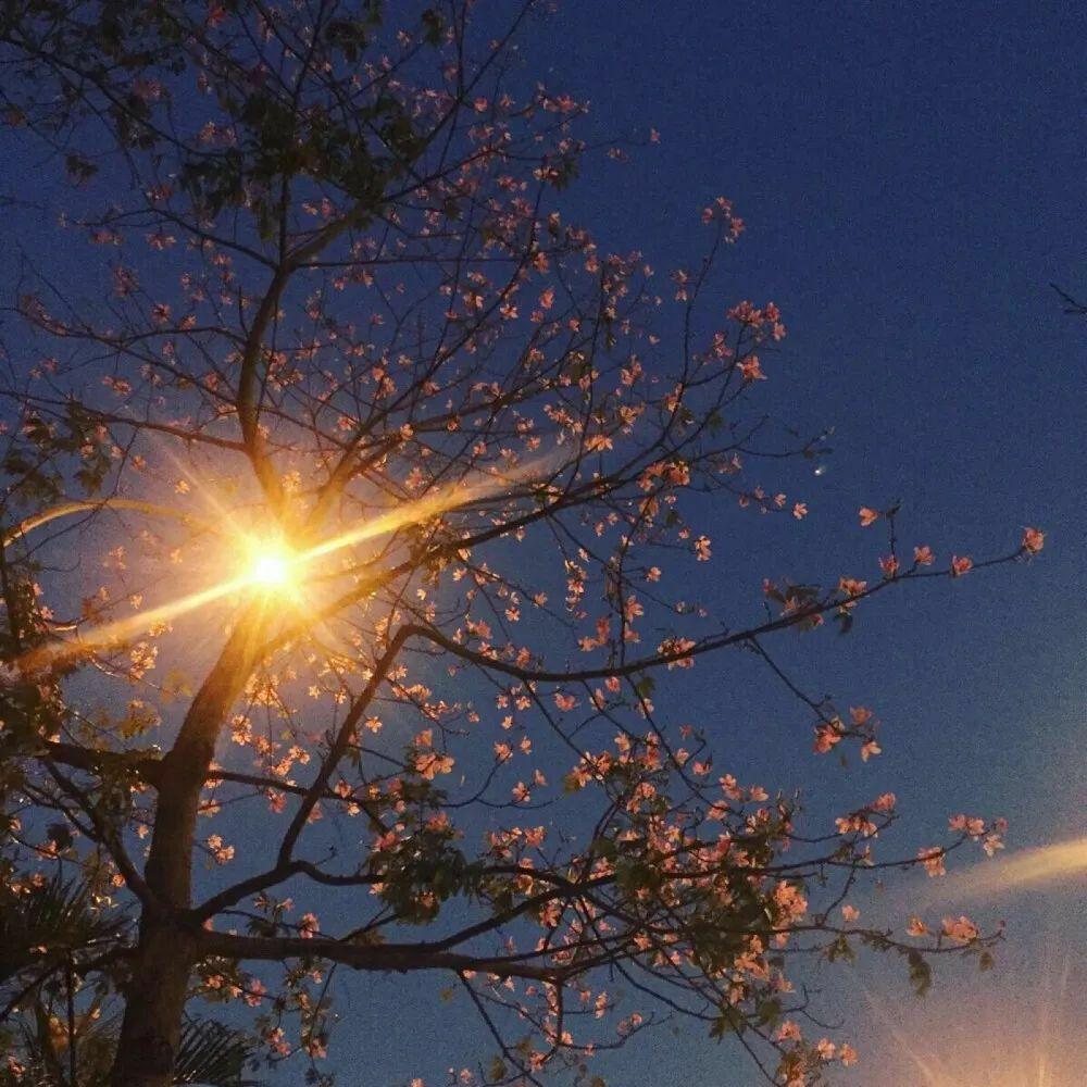 有哪些适合微信8.0的背景图的短文案?