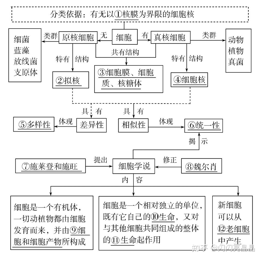 高中生物學大概念分子與細胞知識結構圖一輪複習必備