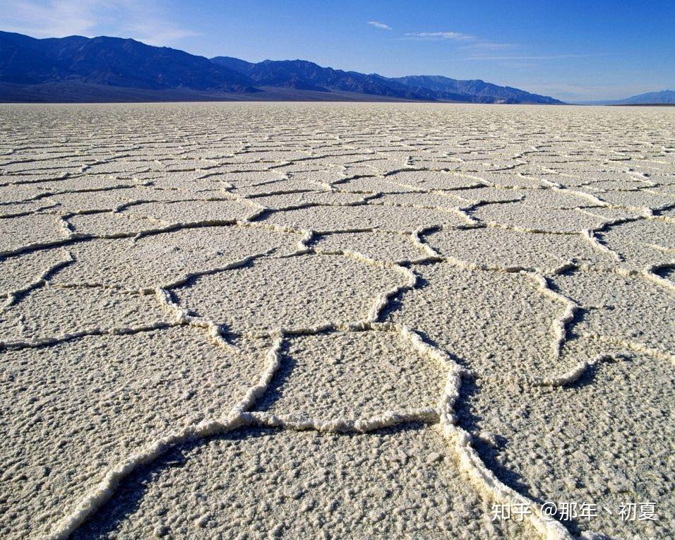 土壤盐碱化盐碱化的基本概况