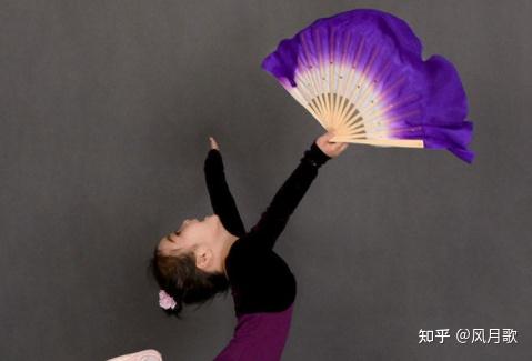扇子在民族民间舞蹈中的运用 - 知乎