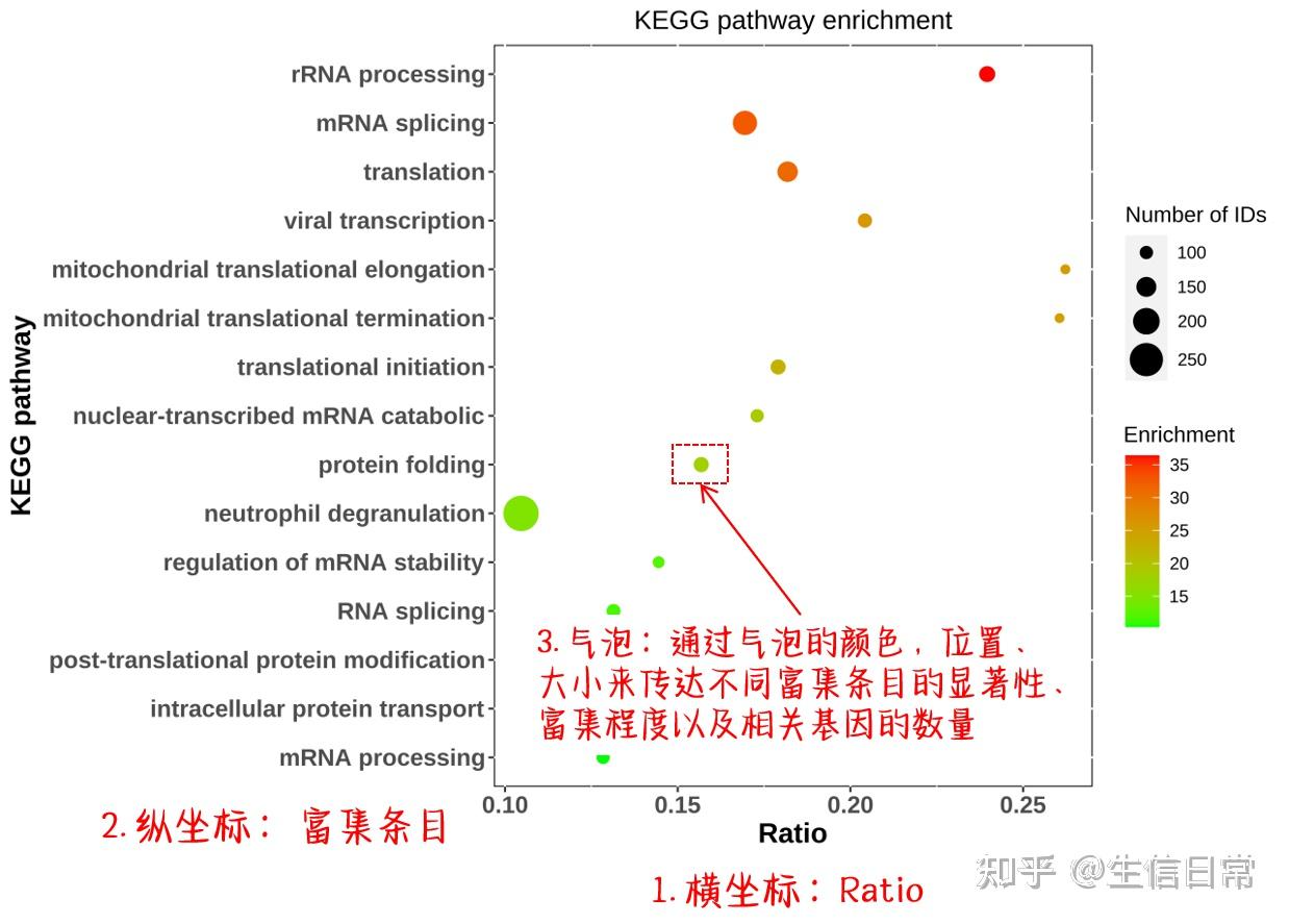 什么是富集分析？手把手教你理解富集分析 - 知乎