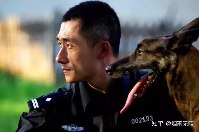 普通狗看到警犬会觉得是警察来了吗? - 知乎