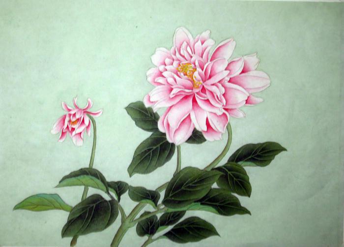 《工笔芍药花》《蝶念花》《工笔牡丹》《清荷图》