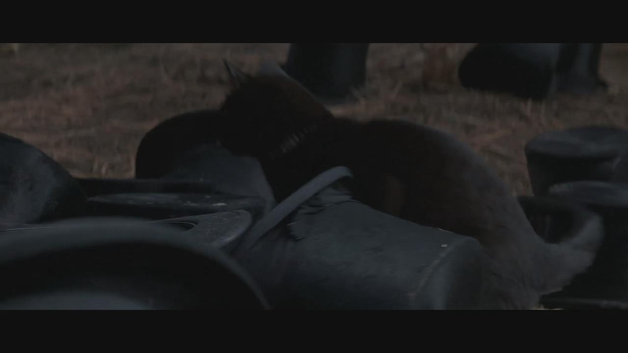 全身蓝色的人电影叫什么名字 v2-f8c3078f283d8a9178a6121a0e857530_r.jpg