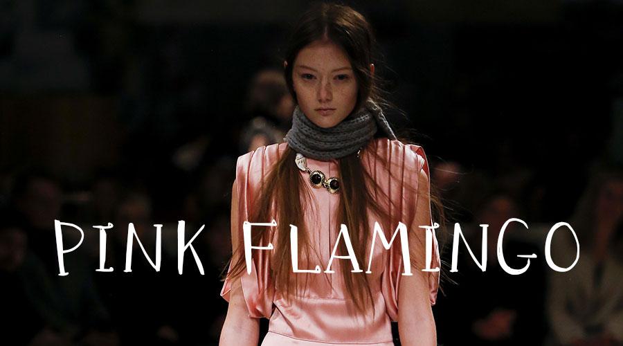 pinkflamingo火烈鸟粉动物界的时尚网红暖化了老夫的少女心