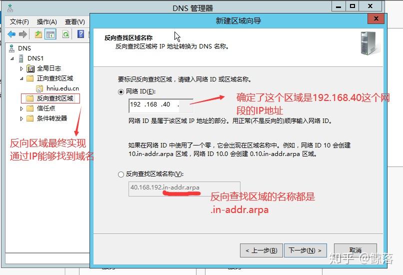 Windows server DNS服务器配置与管理