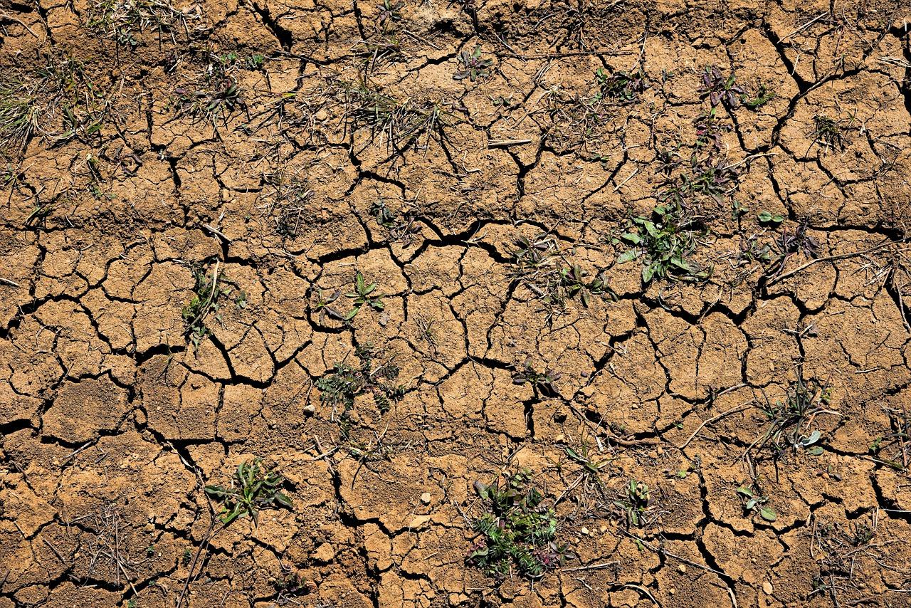 怎么用醋去除污垢