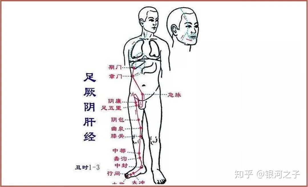 人體能量的運行軌跡經絡