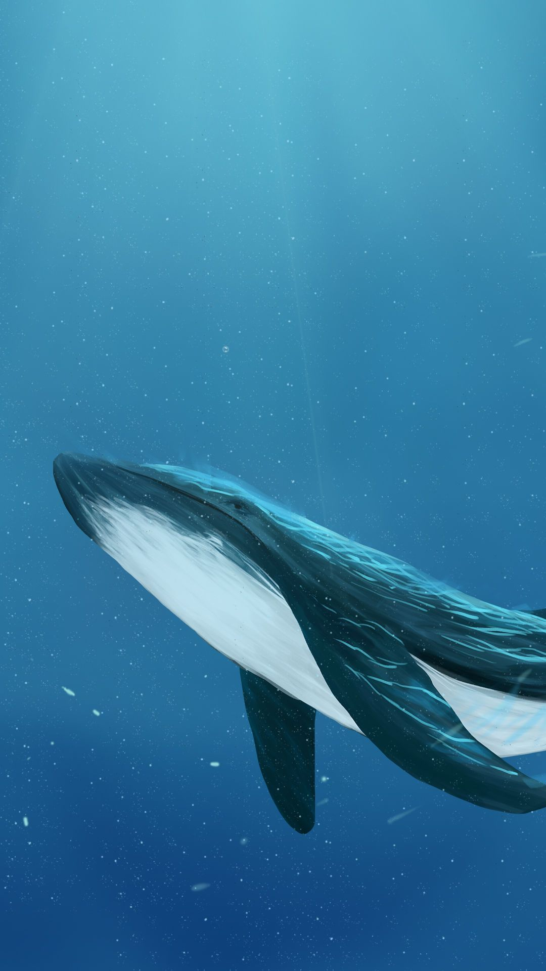 有没有关于鲸鱼的壁纸呢 很喜欢 一直找不到好看的？ - 知乎