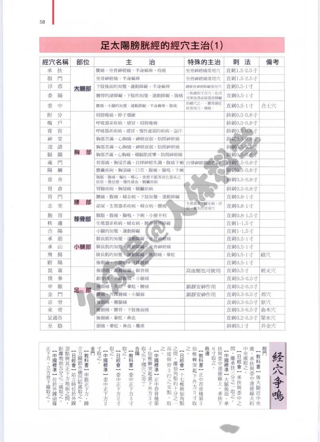 中医科普】十四经脉的穴位解剖学图谱- 知乎