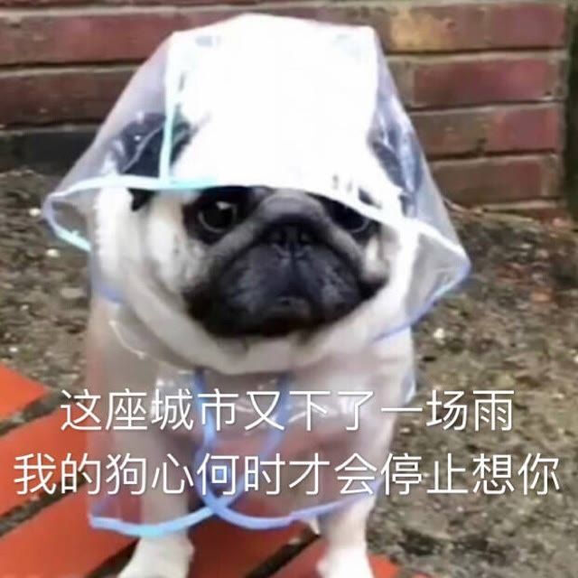 最近文案沙雕可爱,文案短句可爱沙雕