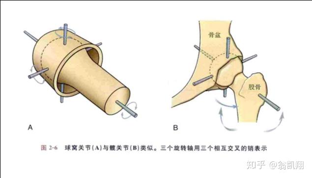 v2-f8edfa344e02ea109f700b8ef69dda78_r.jpg