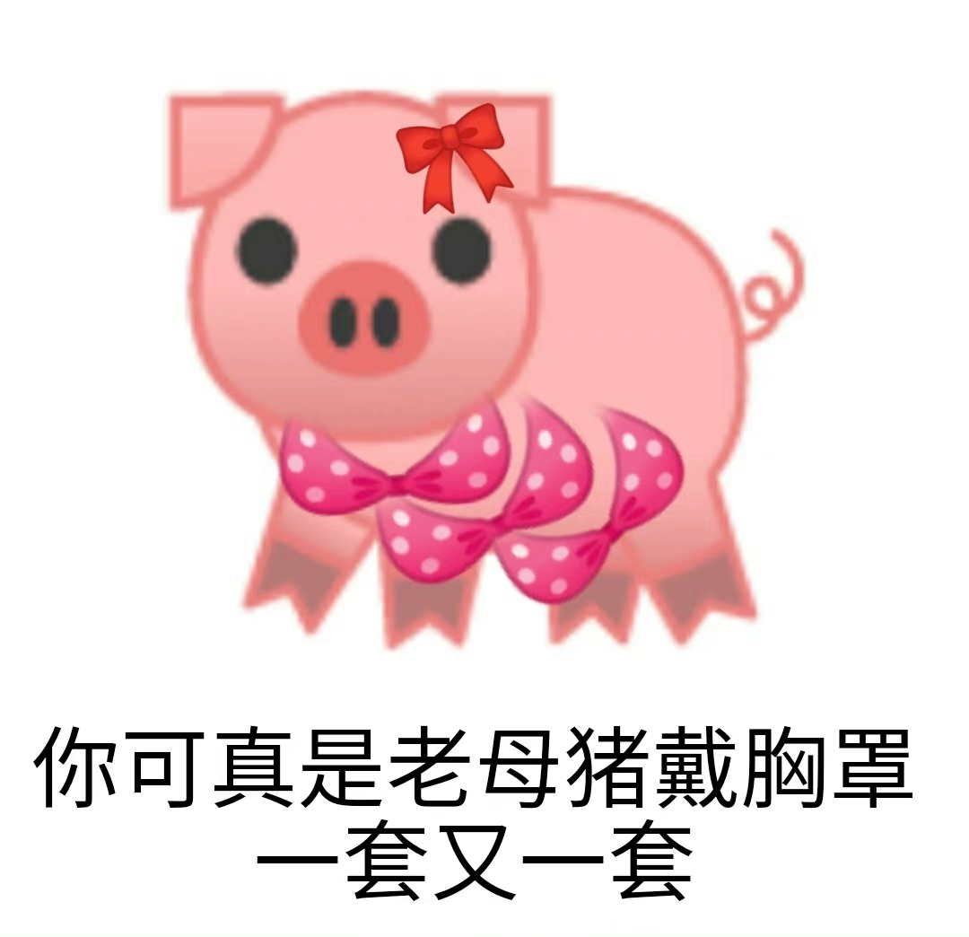 母猪带胸罩图片