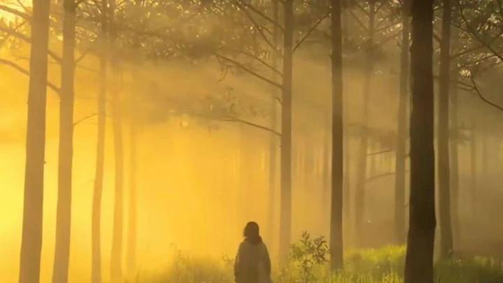 你永远比你想象的更优秀