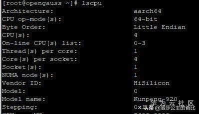 实践录丨如何在鲲鹏服务器OpenEuler操作系统中快速部署OpenGauss数据库 实践录丨如何在鲲鹏服务器OpenEuler操作系统中快速部署OpenGauss数据库