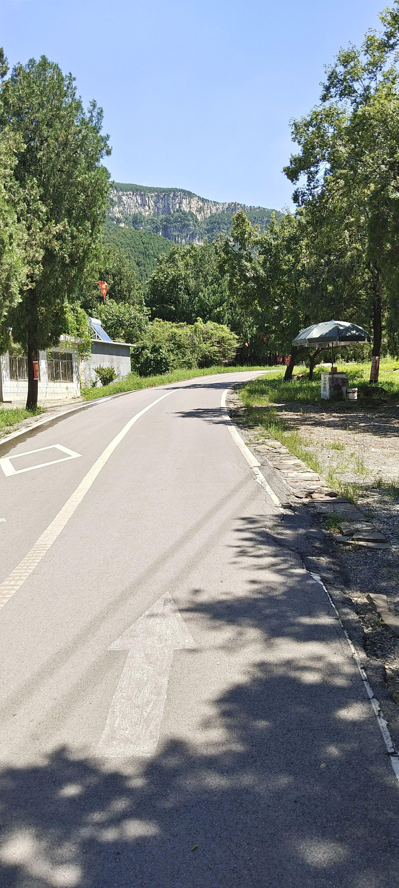 18 西红柿鸡蛋面 把子肉分量是真足晚 18 炒酸奶 鸡肉卷在长清大学城