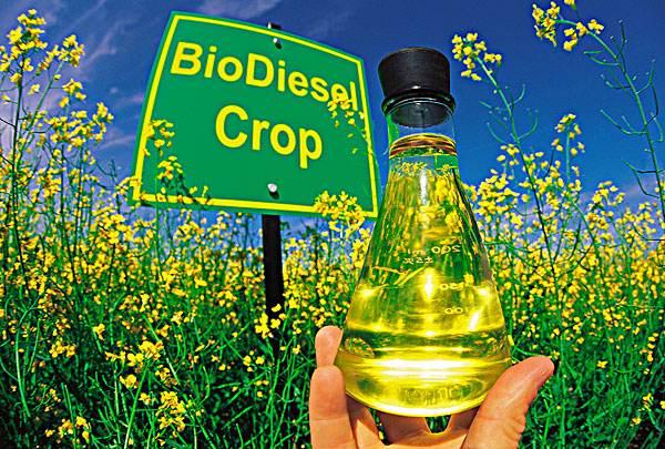 生物柴油发展现状及前景展望