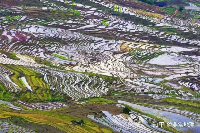 地理视角看梯田考点,附中国10大最美梯田 - 知乎
