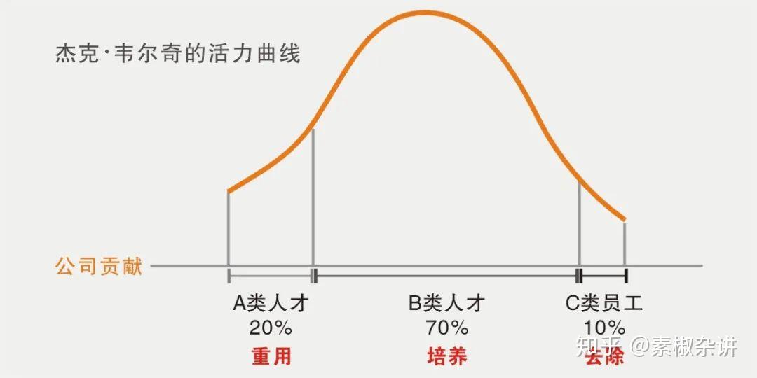 杰克韦尔奇领导力模型图片