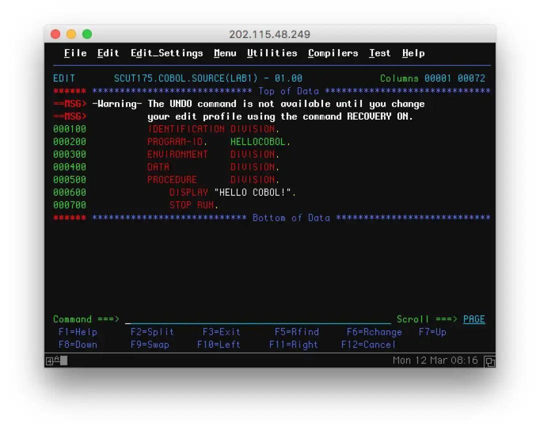 美国急招精通COBOL语言\