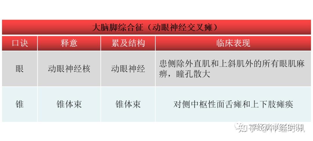 可出现大脑脚综合征,损伤动眼神经和锥体束,又称动眼神经交叉瘫,多