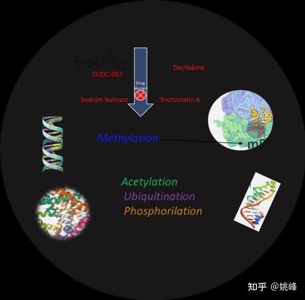 治疗酒精中毒的新型药理策略支原体祛除喷雾防外源干扰