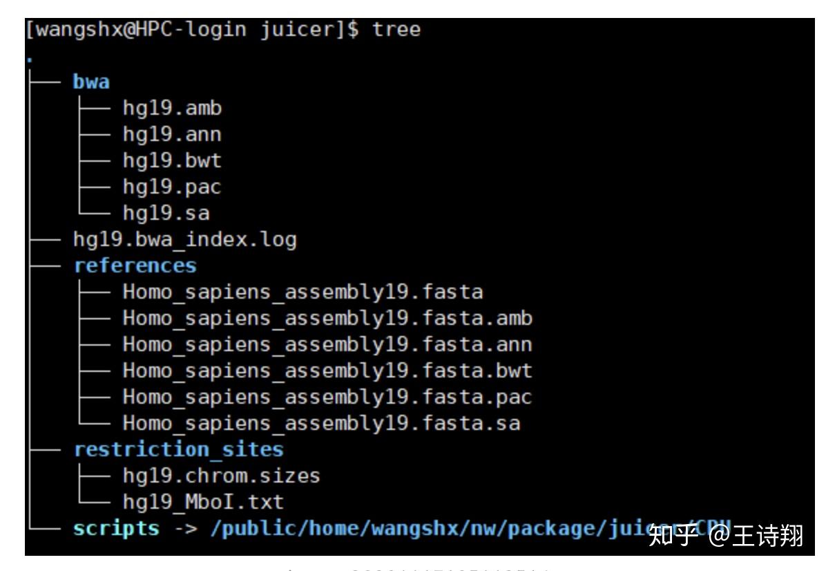 数据处理简介 知乎