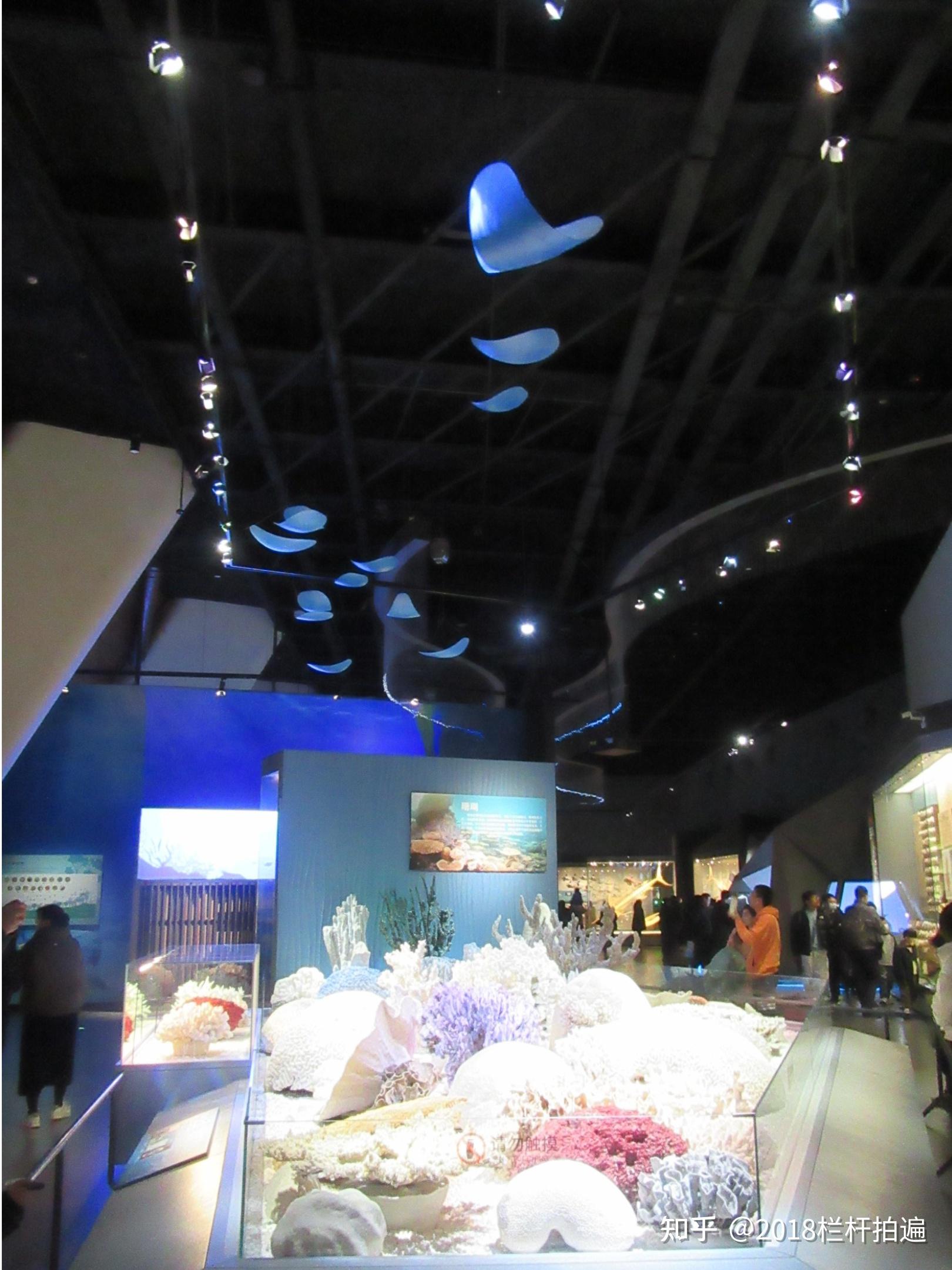 天津:打卡天津·国家海洋博物馆(2)