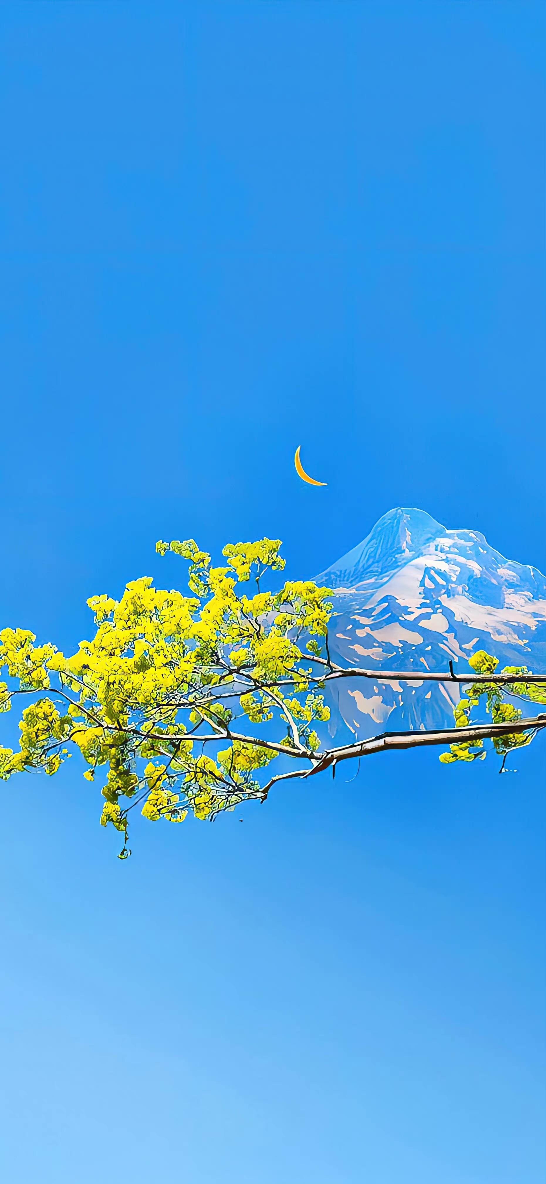 唯美风景系列 - 知乎