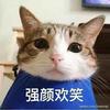 猫仙豆