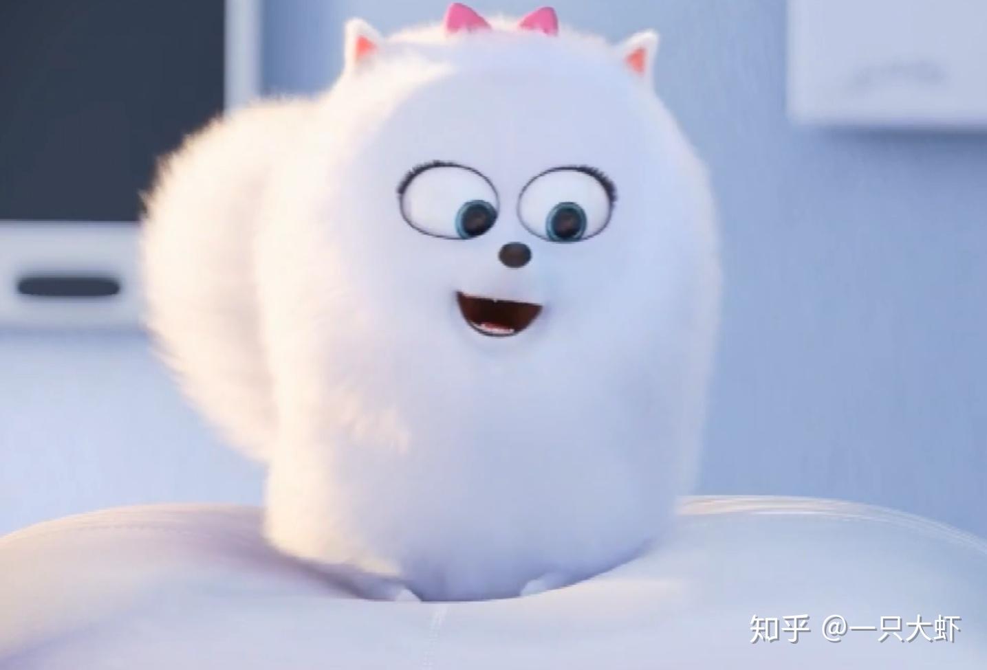 求爱宠大机密小白狗啾啾的头像