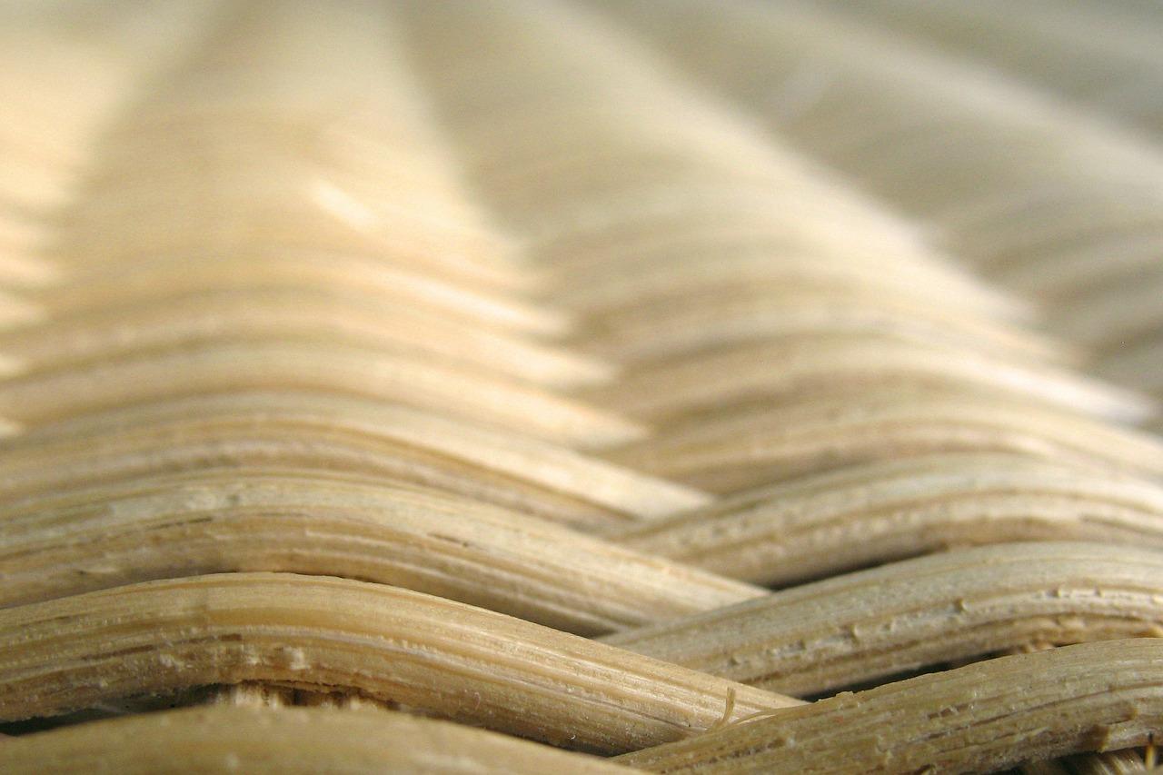 创新技术新体验