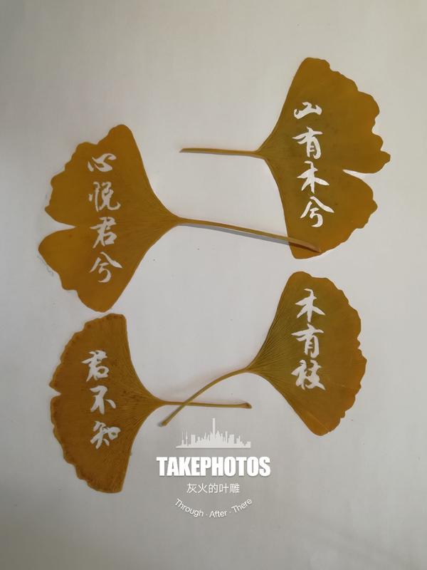 在寝室刻叶雕,就是这玩意儿