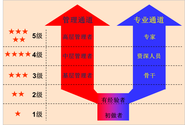 华为员工晋升通道图图片